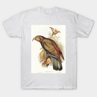 Kea Parrot T-Shirt